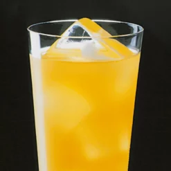 EBiSU Polypropylene Ice Tray 14 Pcs -GLOBALKITCHEN JAPAN Sales EBiSUPolypropyleneIceTray14pcs 3