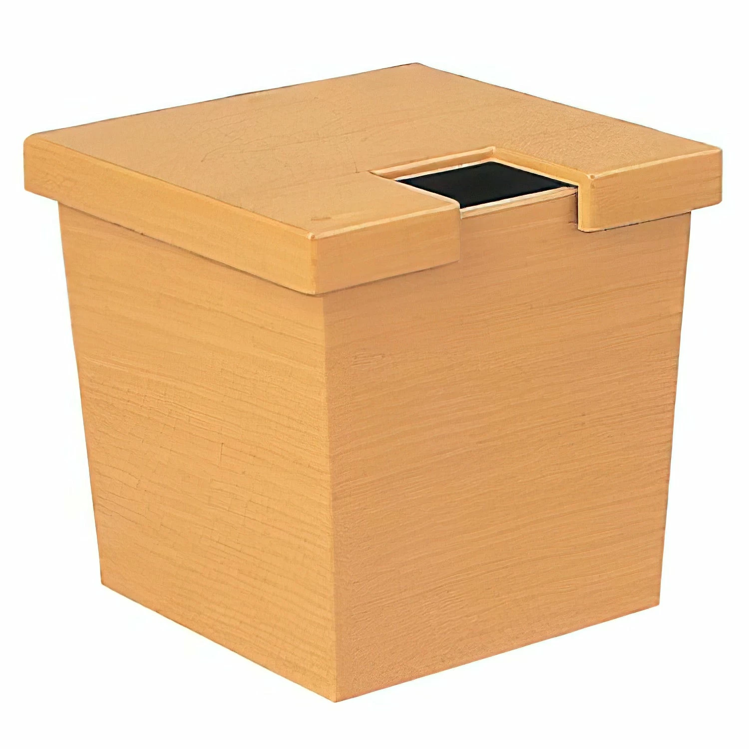 Fukui Craft ABS Resin Sushi Gari Pickled Ginger Container 5 Fukui Craft ABS Resin Sushi Gari Pickled Ginger Container - Image 3