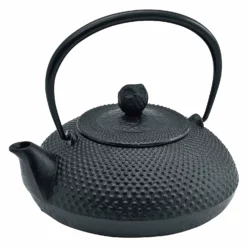 Ikenaga Nambu Cast Iron Tetsubin Kettle Houju
