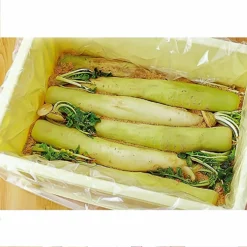 RISU Polypropylene Pickle Storage Container -GLOBALKITCHEN JAPAN Sales RISUPolypropylenePickleStorageContainer171713 4