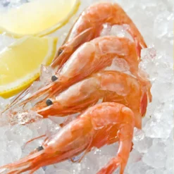 Swan Aluminium Manual Ice Crusher 9 Swan Aluminium Manual Ice Crusher -GLOBALKITCHEN JAPAN Sales SwanAluminiumManualIceCrusher 3 9ea904ae eac4 4524 95ee 346b19edcade