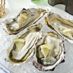 Swan Aluminium Manual Ice Crusher 8 Swan Aluminium Manual Ice Crusher -GLOBALKITCHEN JAPAN Sales SwanAluminiumManualIceCrusher 4 c19e3ab1 364e 4552 94fb f79454a500a4